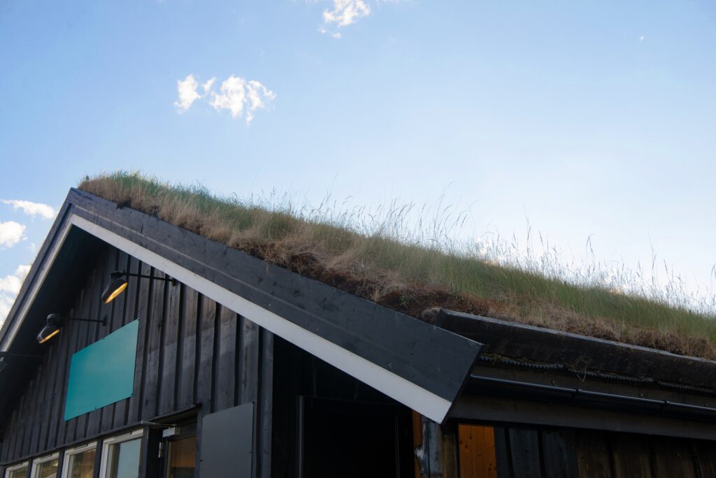 green roof