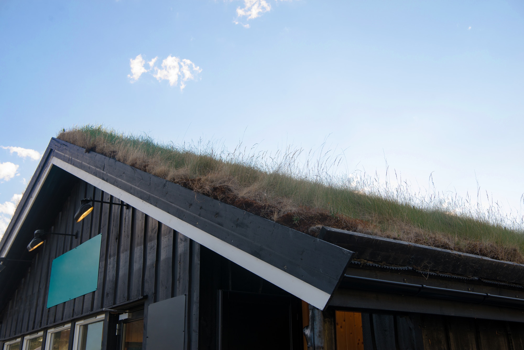 Container Home Roof Ideas: Which Is Best For You?